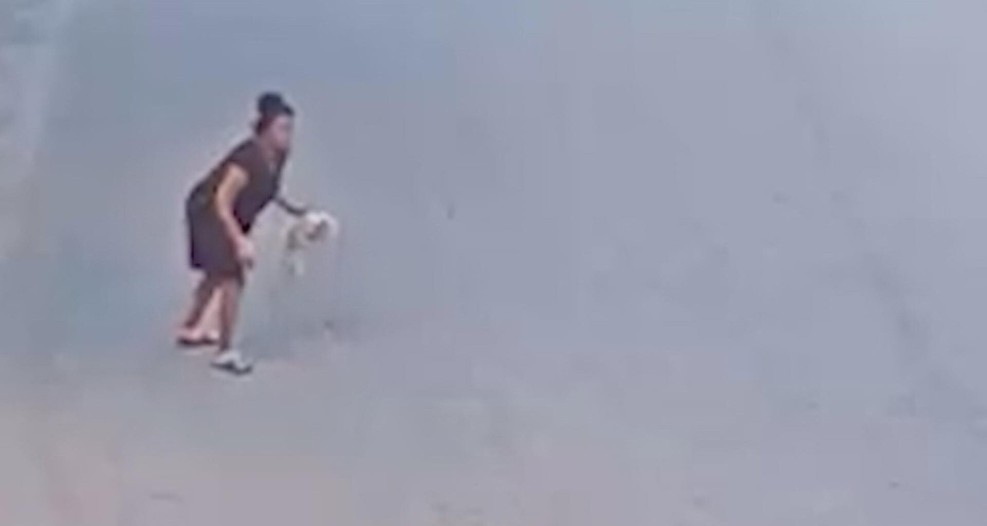 Tampa woman sentenced after video shows her throwing, kicking dog that later died