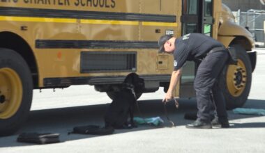 DCPS K-9 teams train for new year with focus on searches, missing students and evidence recovery
