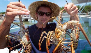 station icon