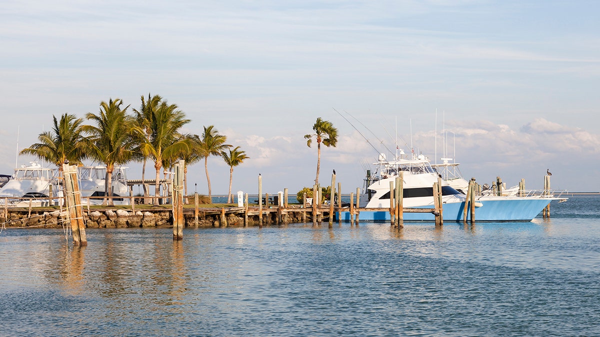 Boats in Marathon, Florida