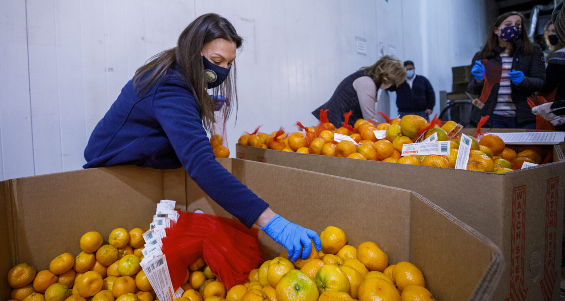 Florida Department of Citrus spotlights fruit harvest that exceed expectations