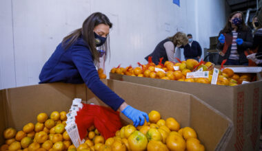 Florida Department of Citrus spotlights fruit harvest that exceed expectations