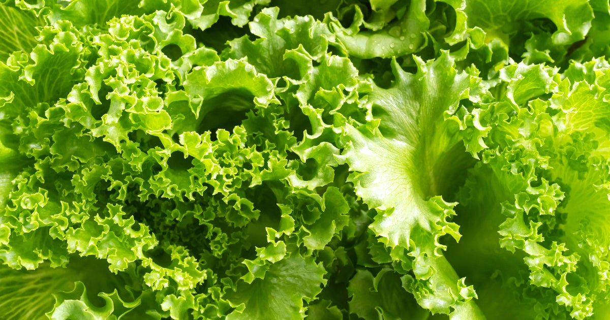 Walmart pulls Marketside iceberg lettuce salads from stores in Florida and Georgia over Cyclospora concerns