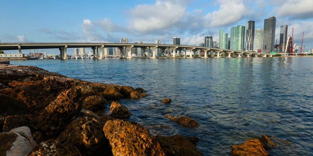 Flesh-eating bacteria tracker 2026: Cases in Florida, Alabama and Connecticut