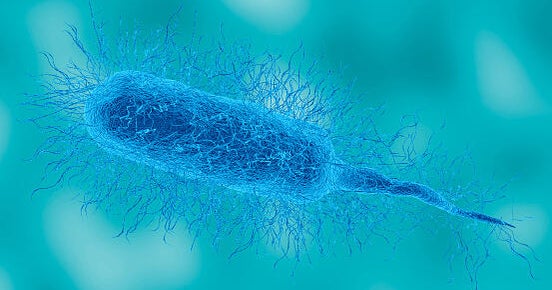 First death of 2026 from rare, flesh-eating bacteria reported in South Florida, state health officials say