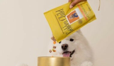 Pet wellness startup Golden Child launched at Atomic names DTC veteran as CEO
