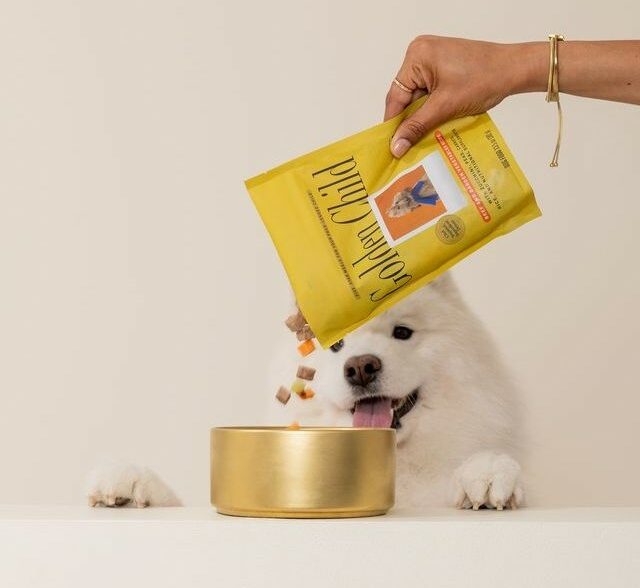 Pet wellness startup Golden Child launched at Atomic names DTC veteran as CEO