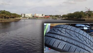 Tampa tire pollution: Study tracks toxic chemical in Hillsborough River