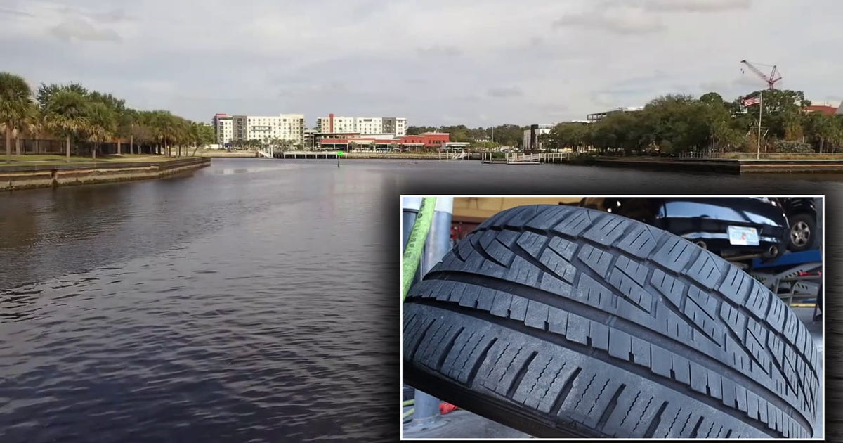 Tampa tire pollution: Study tracks toxic chemical in Hillsborough River