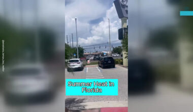Florida Driver's Summer Hack Turns Heads in Traffic