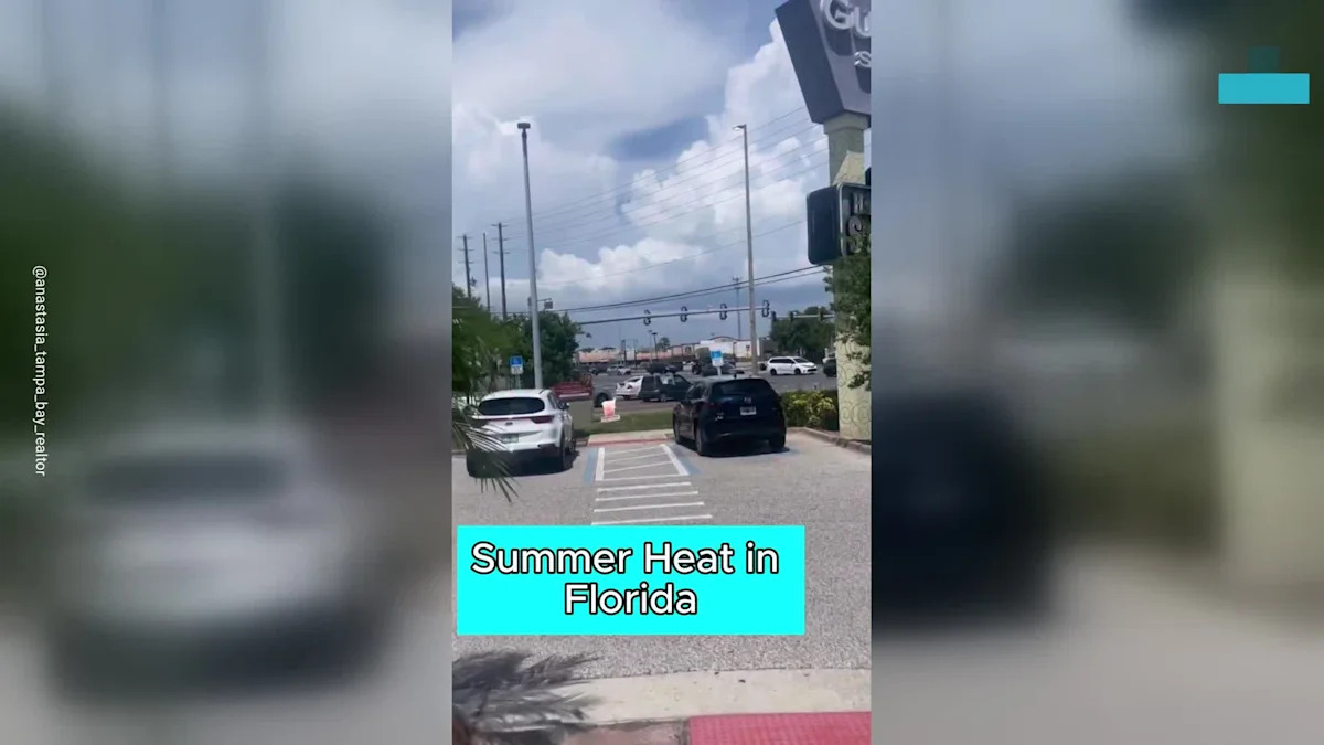 Florida Driver's Summer Hack Turns Heads in Traffic