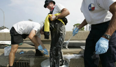 Deadly infection: Florida reports first rare, flesh-eating bacteria death of the year
