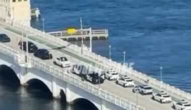 Waymo Robotaxis Stop Traffic on Miami's Venetian Causeway, Again