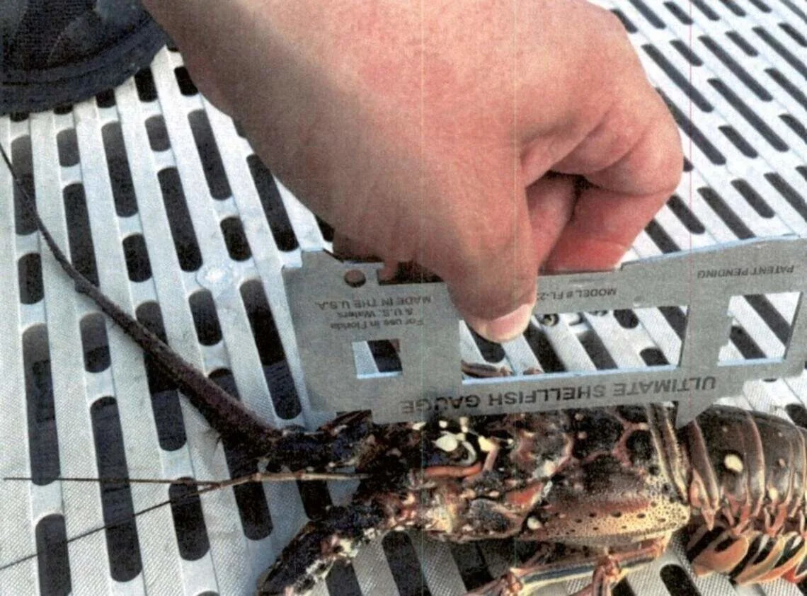 Canadian man is jailed after illegal Florida Keys lobster hunt, FWC says