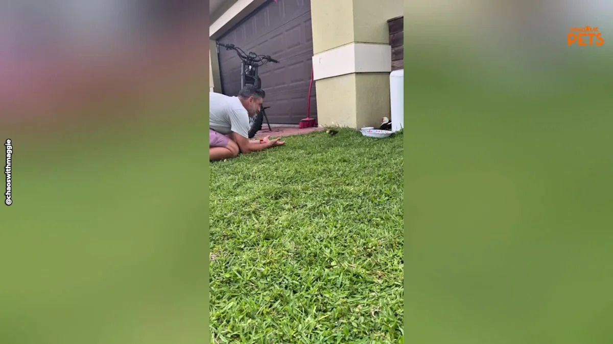 Florida Man Has Unlikely Friendship With Baby Animal