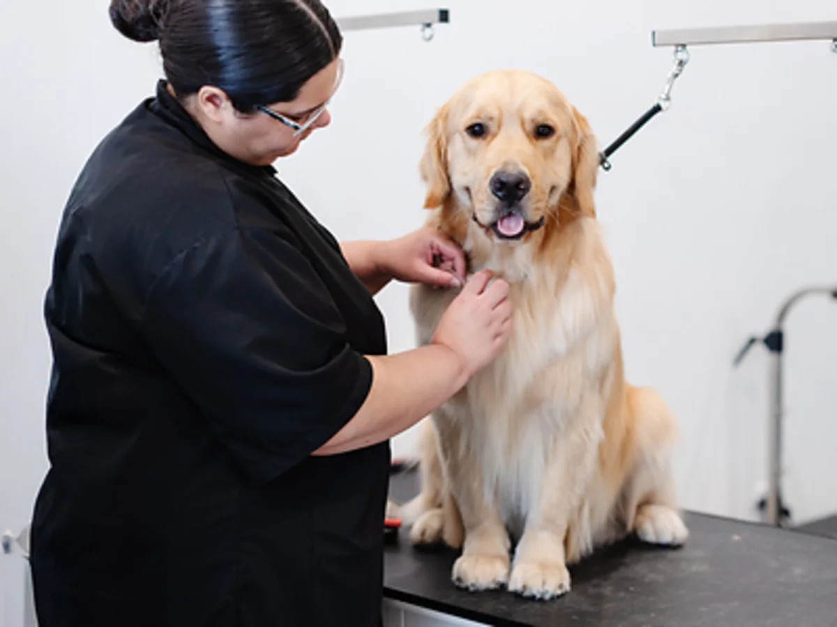 Sparkle Grooming Co. Opens First Jacksonville Salon