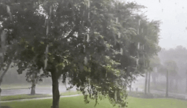 Storms Bring Heavy Rain and Lightning to Central Florida