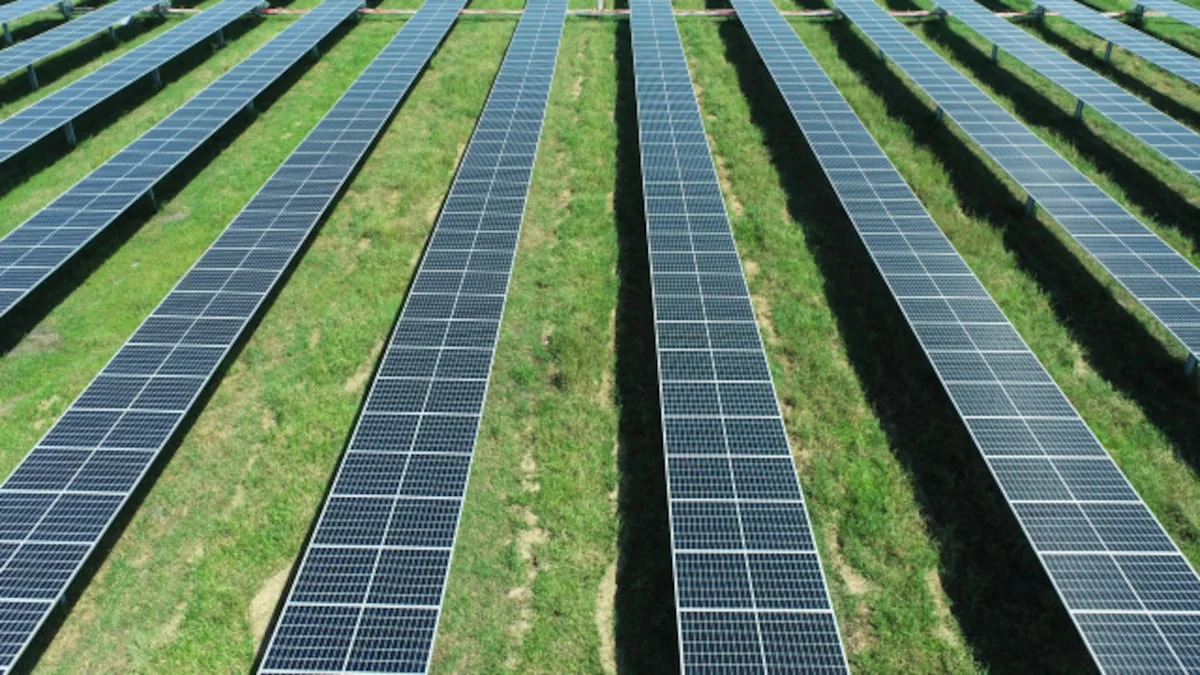 Tampa Electric plans nearly 400-acre solar farm near Hillsborough County line