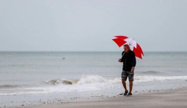 Worried about Tampa Bay’s environmental issues? A study shows you aren’t alone