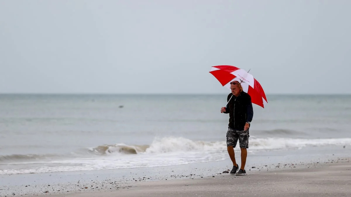 Worried about Tampa Bay’s environmental issues? A study shows you aren’t alone