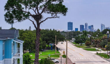 In reversal, St. Pete apartments will not cut down tree with eagle nest — for now