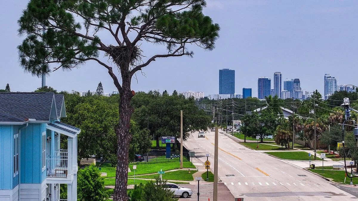 In reversal, St. Pete apartments will not cut down tree with eagle nest — for now