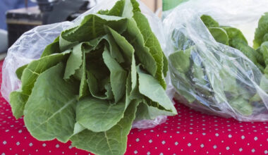 Bad lettuce in Tampa Bay? Farms and restaurants respond to cyclospora outbreak