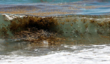 Florida beach trashed. Clean it up. DeSantis breaking state