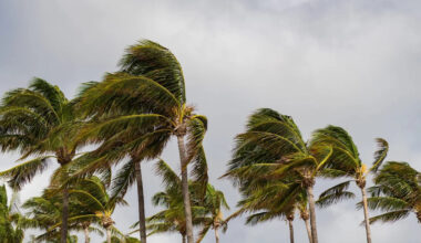 Florida thunderstorm drops trees onto homes, snaps utility poles, and cuts power to thousands