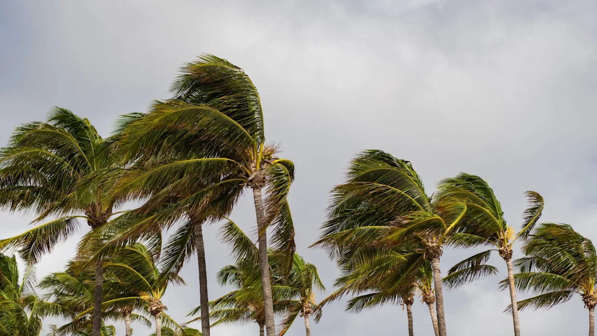 Florida thunderstorm drops trees onto homes, snaps utility poles, and cuts power to thousands