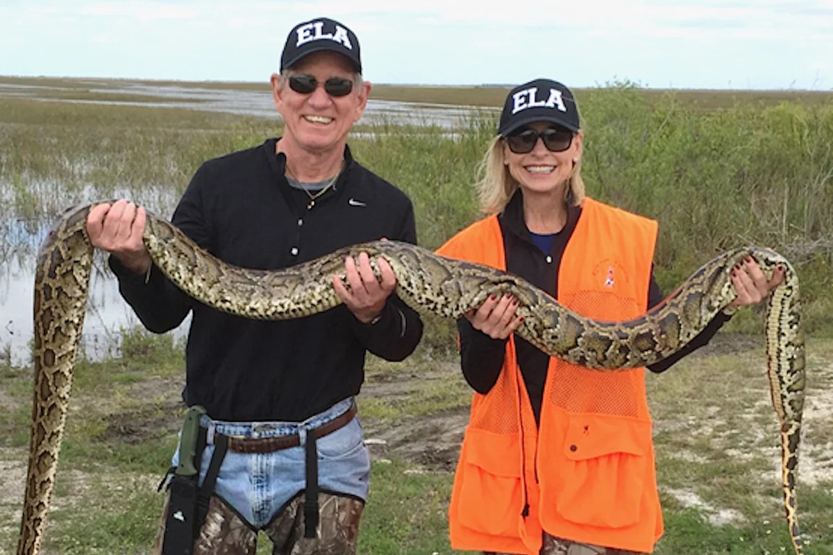 Florida hunters chase $25,000 bounty as invasive pythons ravage Everglades wildlife
