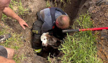Florida crews fly drone into storm drain, then cut pipe open to rescue dog Fletcher