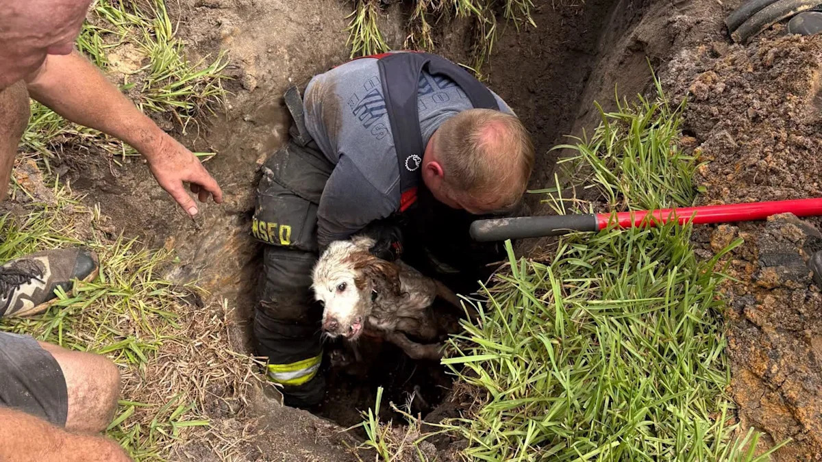 Florida crews fly drone into storm drain, then cut pipe open to rescue dog Fletcher