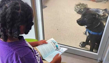 Florida 11-year-old read to shelter dog Hopper, and he was adopted after nearly 400 days
