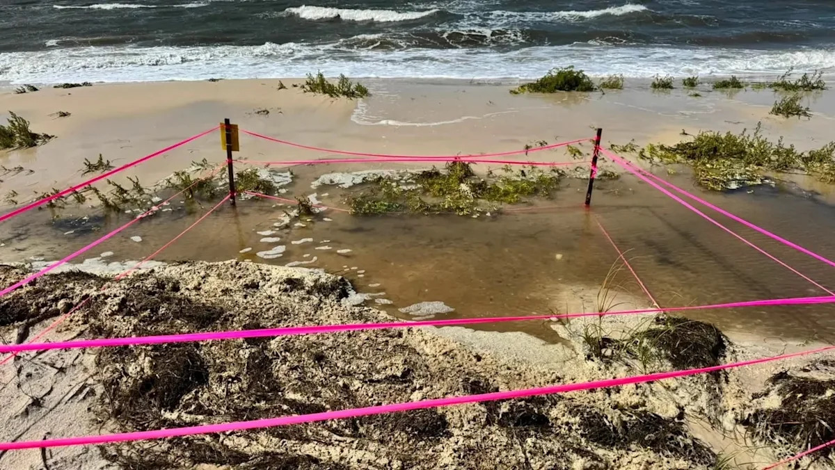 Tropical Storm Bertha washes away sea turtle nests along Florida's Gulf Coast