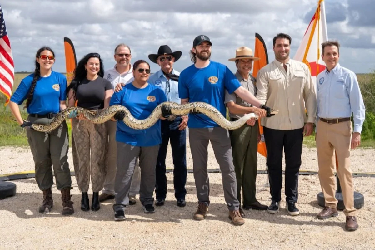 Florida's python hunters know the drill: catch the invader, document it, and strike a pose