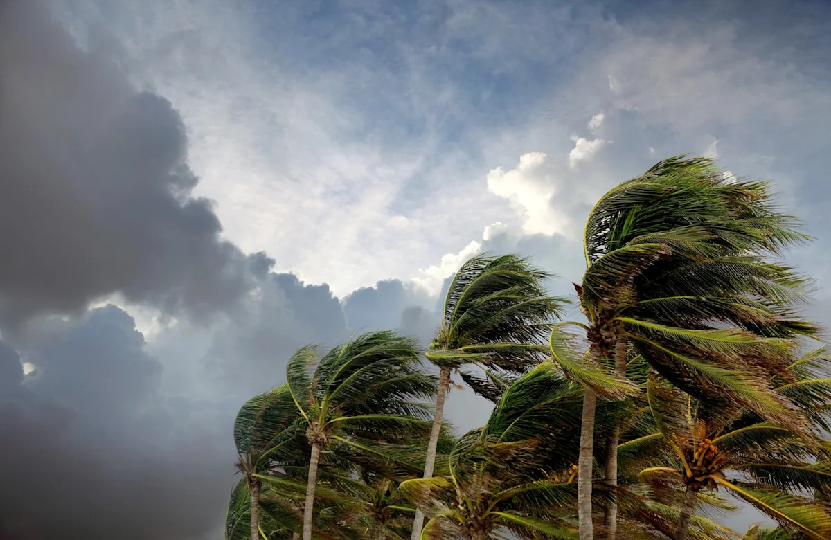 Tropical Storm Bertha forms off the Florida coast, prompting storm alerts