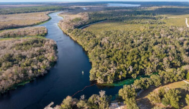 Florida mother dies saving 4-year-old son from St. Johns River: Volusia Sheriff