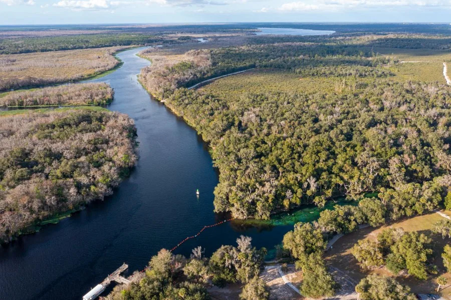 Florida mother dies saving 4-year-old son from St. Johns River: Volusia Sheriff