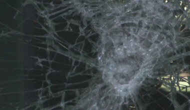 St. Pete PD searching for men responsible for $96K damage at luxury tower