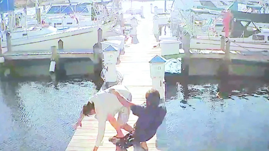 Video of Tampa man of shoving, throwing man into water played in murder trial