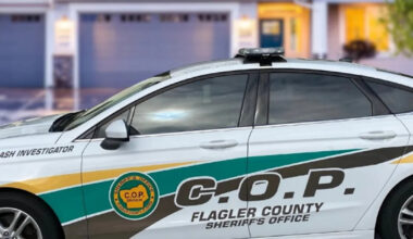 Florida woman slips out of handcuff, fights deputies during alleged domestic battery arrest: Sheriff