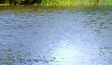 Coroner: Florida man drowns while staying at Waterloo home