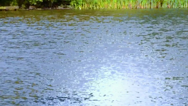 Coroner: Florida man drowns while staying at Waterloo home