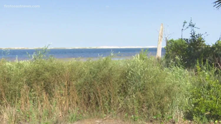 WTLV
