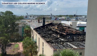 USF marine science fire: St. Pete recovery operations save vital scientific research despite heavy damage