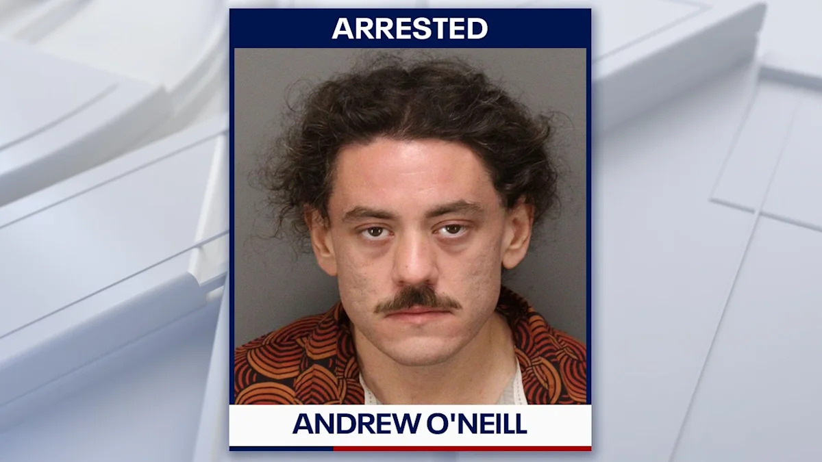 Man arrested after $96K vandalism caught on camera at St. Pete apartment building: Police