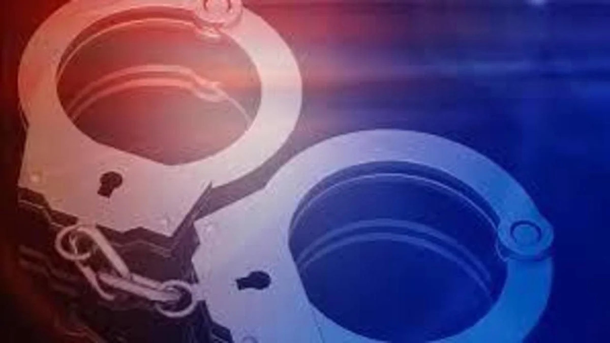 Washing machine full of evidence: 19 plead guilty in Florida gang-affiliated defrauding scheme