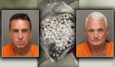 St. Pete Beach mothballs: Two men arrested in plot to disrupt nesting shorebirds