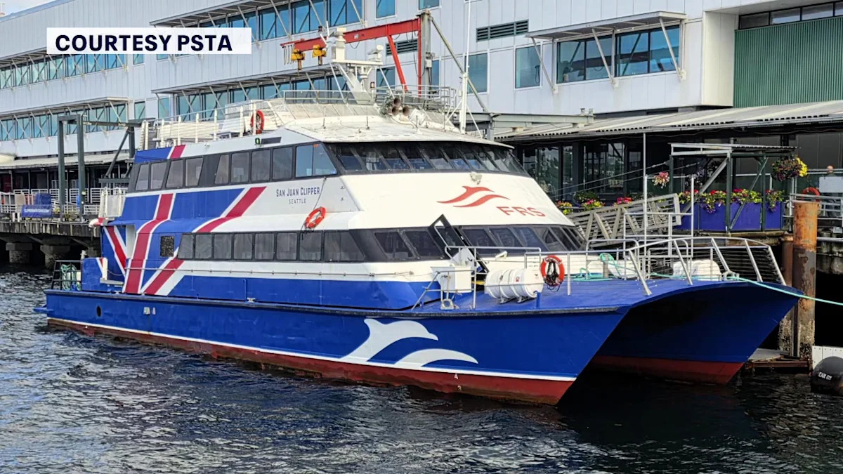 Tampa Bay Ferry: St. Pete approves downtown temporary dock location